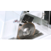 Низкоскоростной прецизионный отрезной станок DTQ-5